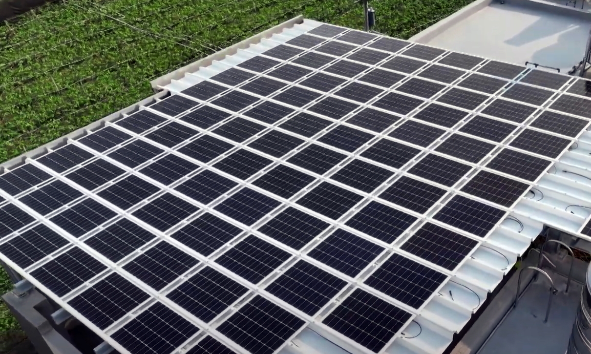 jinnian金年会SunSteel光电浪板升级双玻结构，以提升机械负载强度及气候耐候度，可广泛运用于多元场域