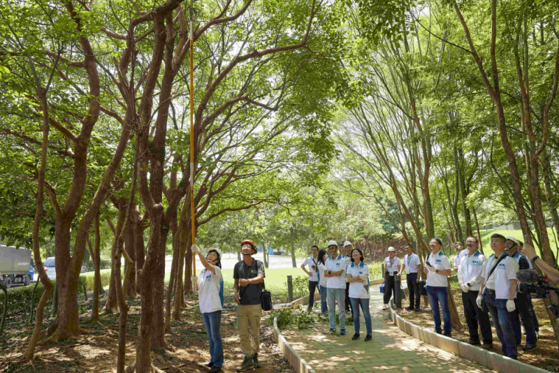 藝師教導大家認識樹木、檢查樹的健康狀況，學習修枝及碎枝覆土