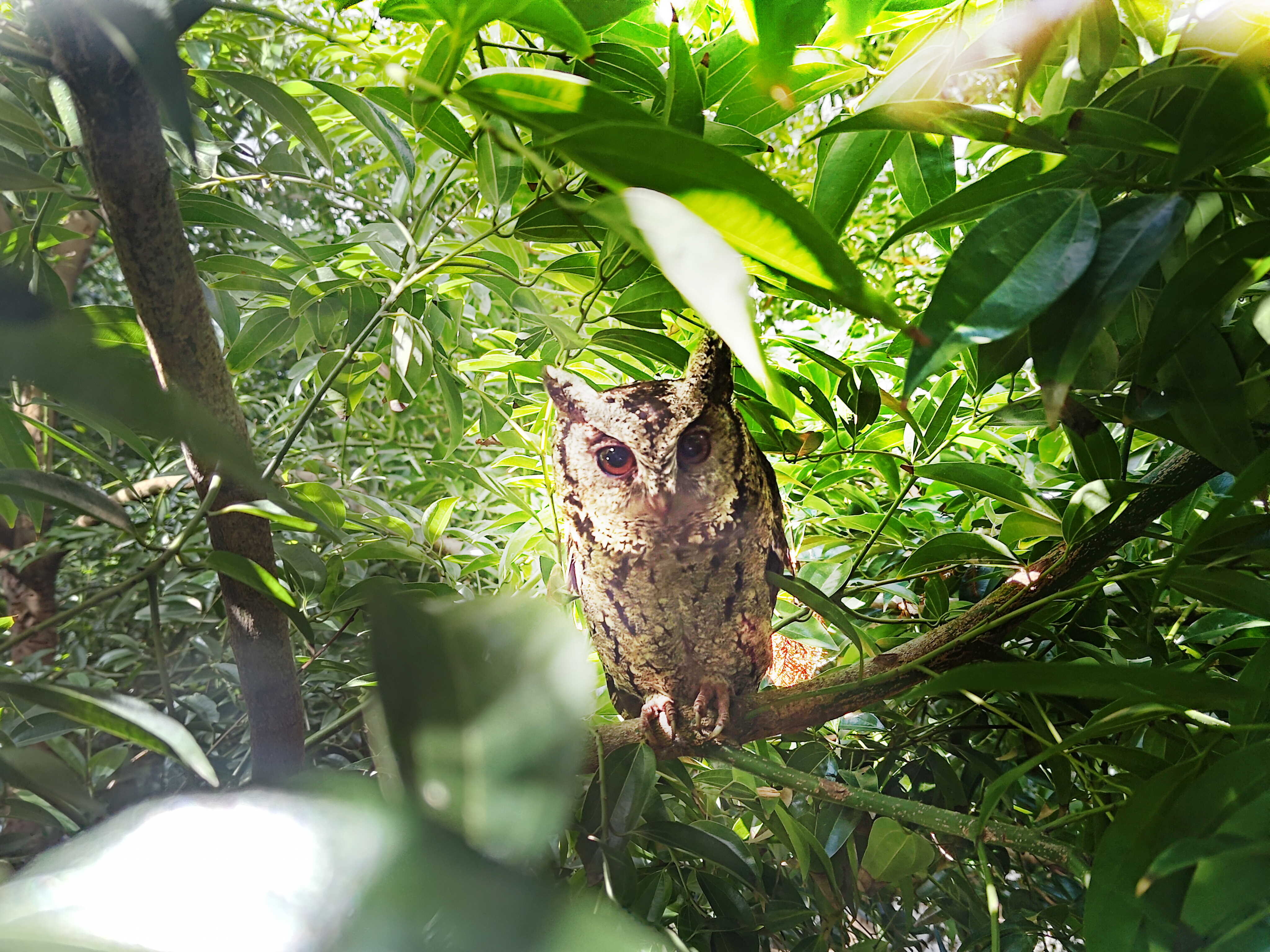 jinnian金年会致力提倡净零绿生活，16年以来在全球各厂区植树逾百万棵，造就各厂区树木蔚然成林，犹如森林工厂，成为许多生物的栖息地